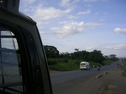 General scene of roadside